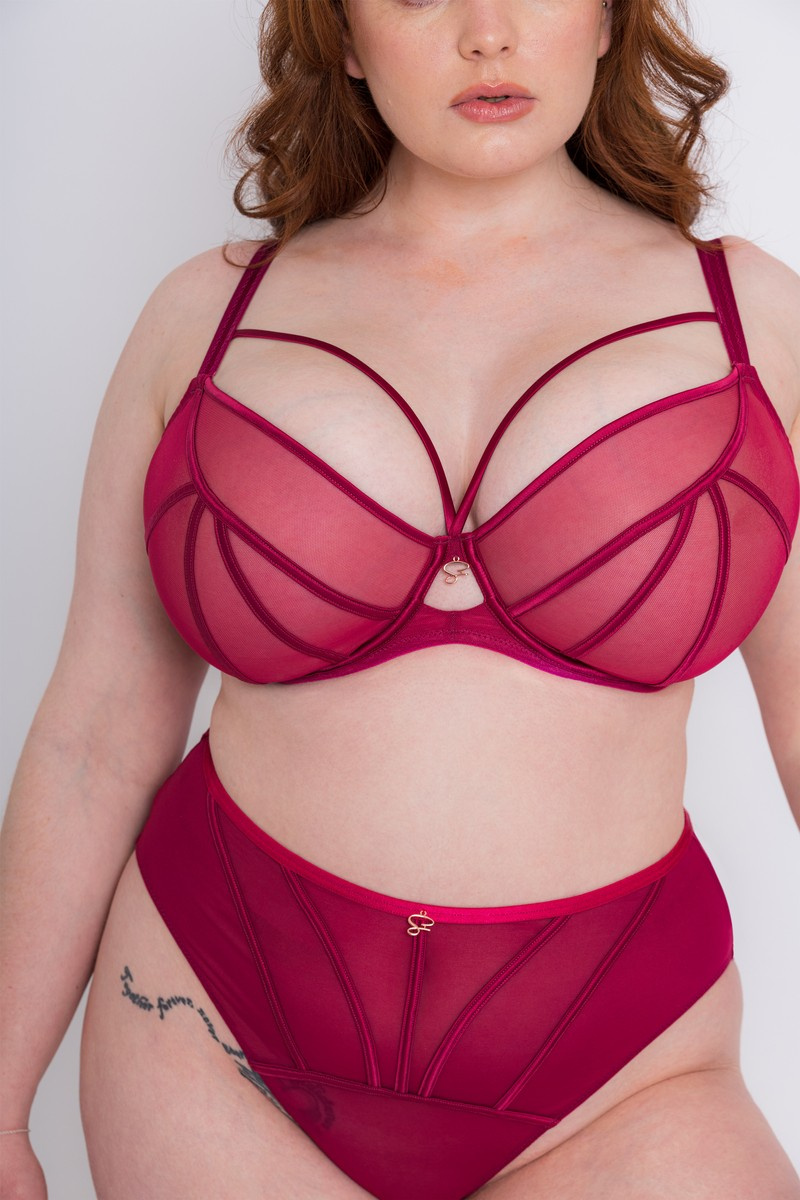 Scantilly Senses high waist brief cherry