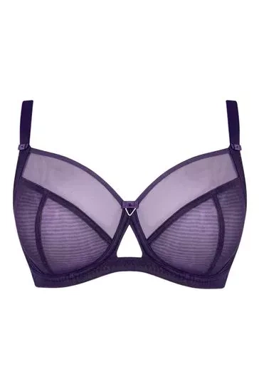 Curvy Kate Victory purple