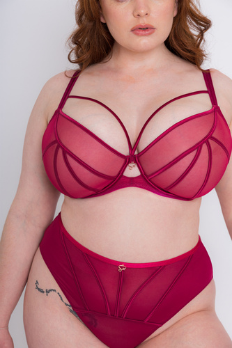 Scantilly Senses Plunge Cherry